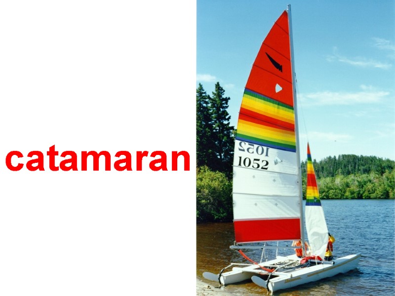 catamaran